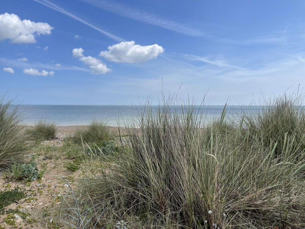 Heritage Cottage - Charming And Stylish Home With Lovely Garden Walmer Extérieur photo